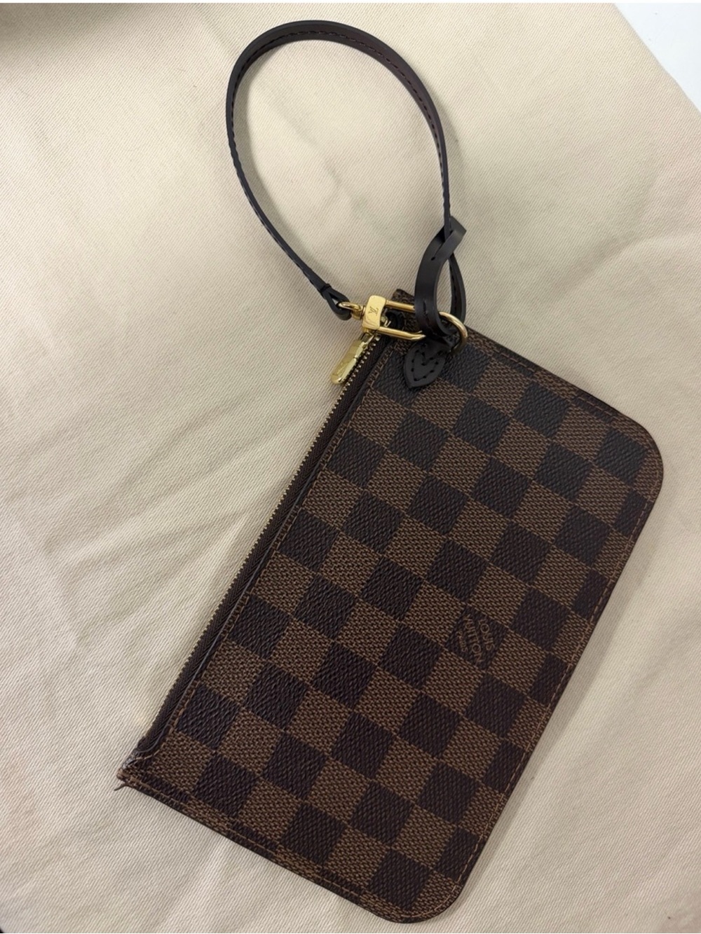 Louis Vuitton Pouch